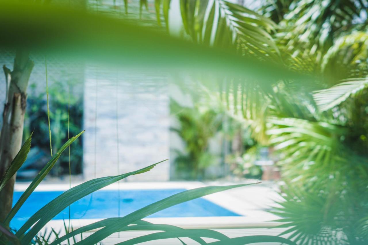 Elements Tulum Boutique Hotel Exteriér fotografie